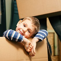 Domestic Removals BR4