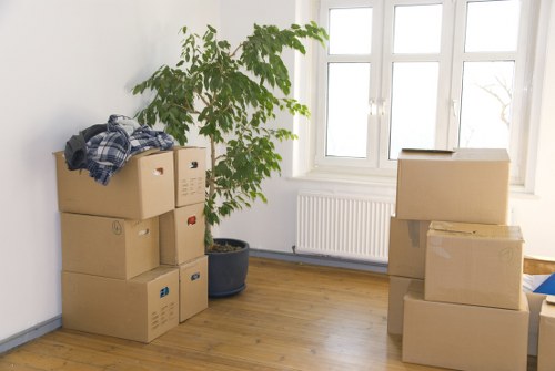 Local moving service planning a smooth relocation in Coneyhall