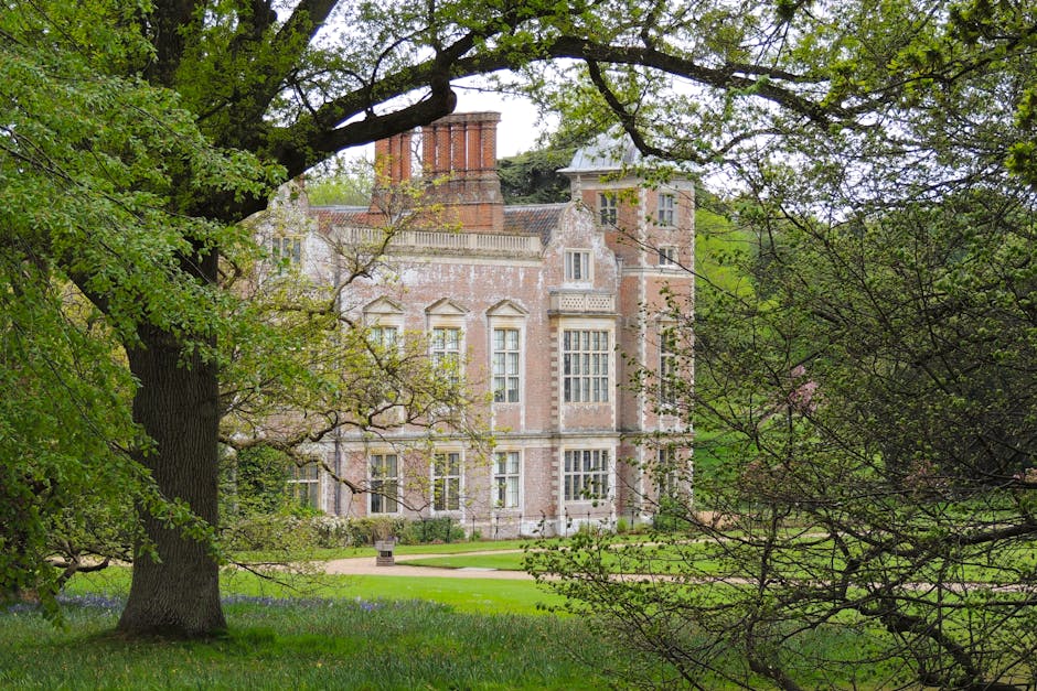 A large, historic brick mansion with ornate windows and decorative stonework is partially visible through lush green trees with broad leaves, situated within a well-maintained garden on a bright day. The garden features a neatly trimmed lawn and pathways, with some areas shaded by tree branches. In the foreground, a large mature tree with a thick trunk and sprawling branches frames the scene, indicating the setting is in a leafy residential area. This image captures the exterior of a grand house, which may be involved in a home relocation or furniture transport process, supported indirectly by the surroundings and the context of house removals services offered by Man with Van Coney Hall.